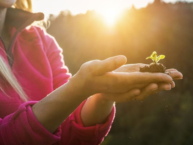 Act' green with Actreen