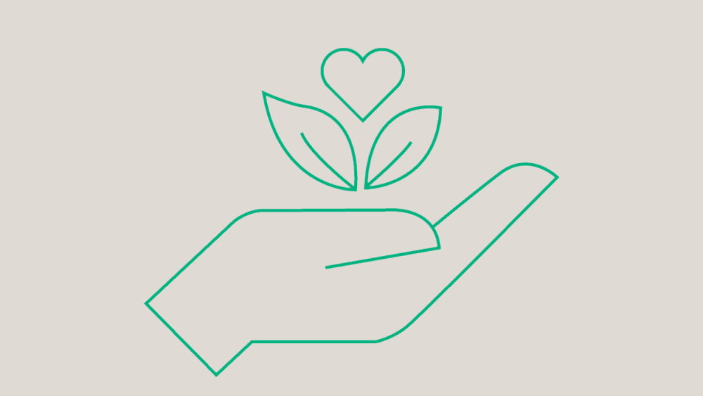 Main tenant une plante avec un cœur au-dessus, symbolisant l’éco-compatibilité